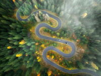 Snake-like Road in a Foggy Day