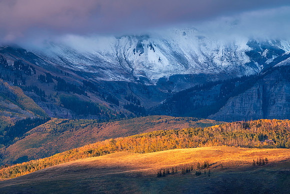 Last Golden Light
