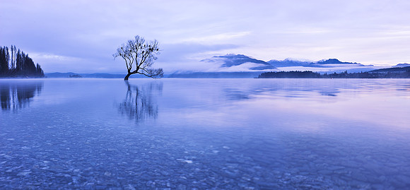 Paradise in Blue
