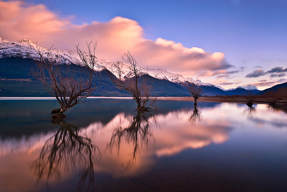 Reflection